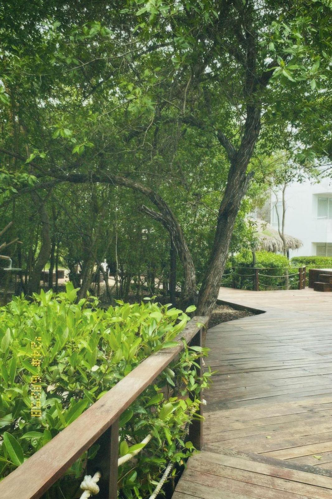 Santo Manglar Cartagena Life Wellness Spa Hotel Экстерьер фото